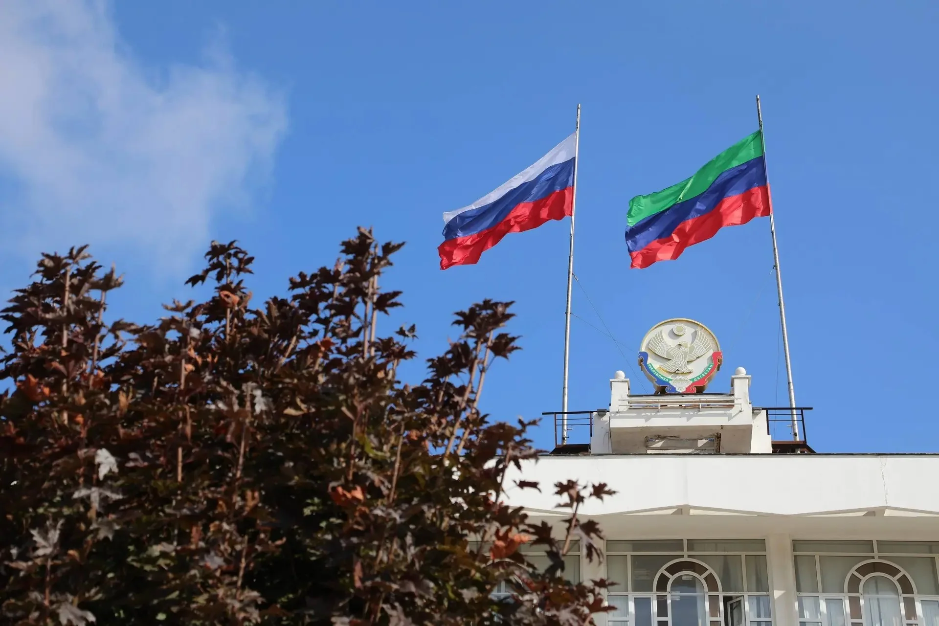 40 молодых учёных Дагестана получат стипендии главы