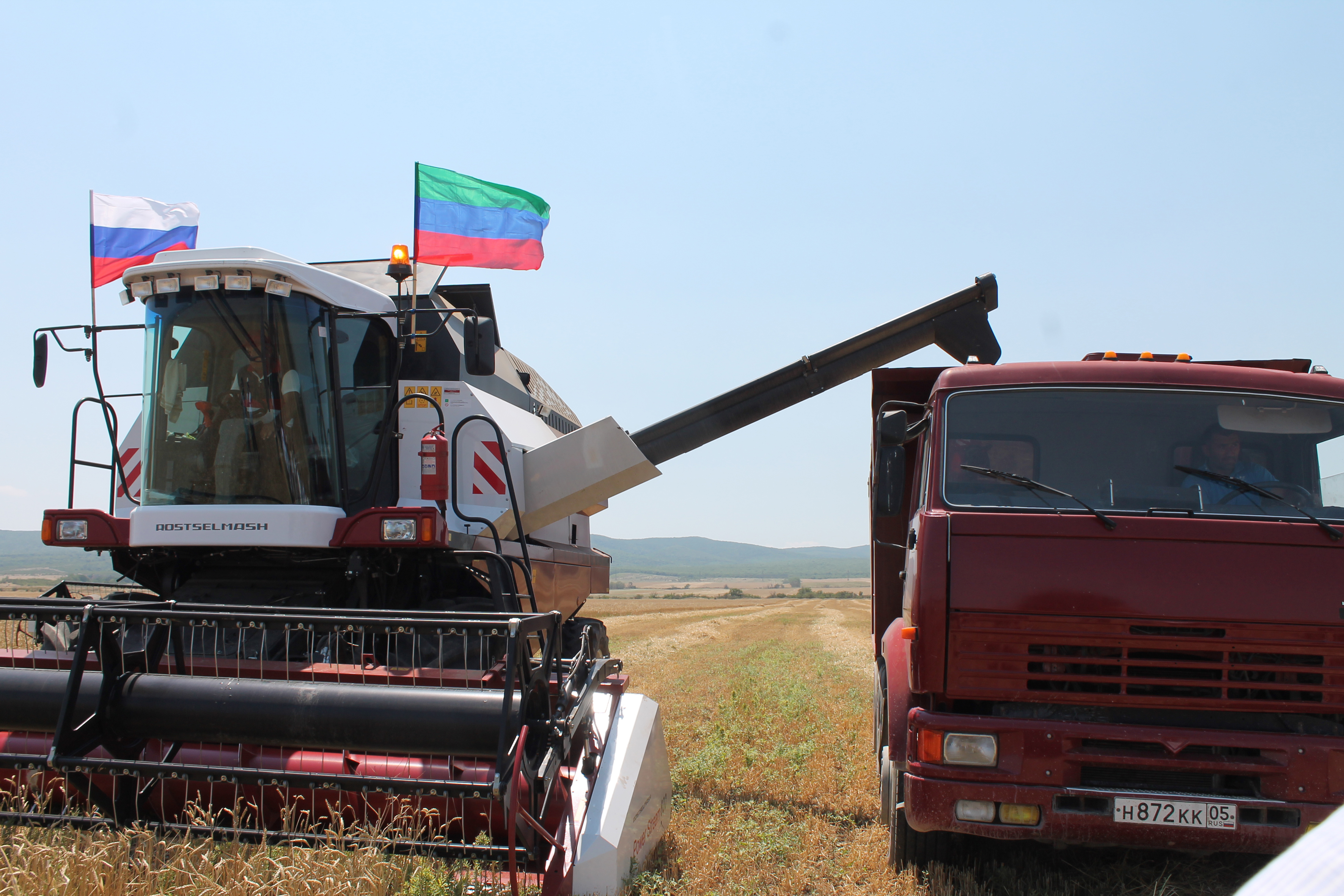 Тогъуз айны гьасиллери гьасси этмей