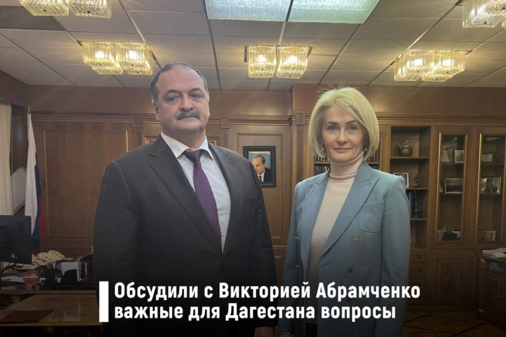 Меликов и Абрамченко обсудили вопросы береговой защиты на реке Терек