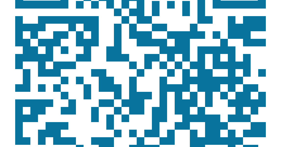 QR-коды в дагестанских торговых центрах будут проверять «Цифровые волонтеры»