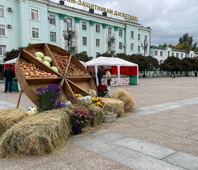 На центральной площади Махачкалы прошел фестиваль тыквы «Дары осени»