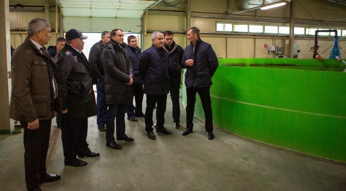 Замминистра МЭР: сфера рыбоводства в Дагестане наращивает объемы импортозамещения