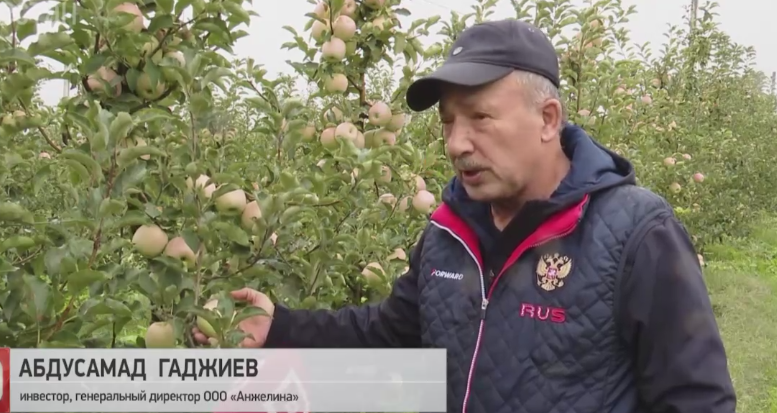 Интенсивные сады. В Дербентском районе реализуют крупный инвест-проект