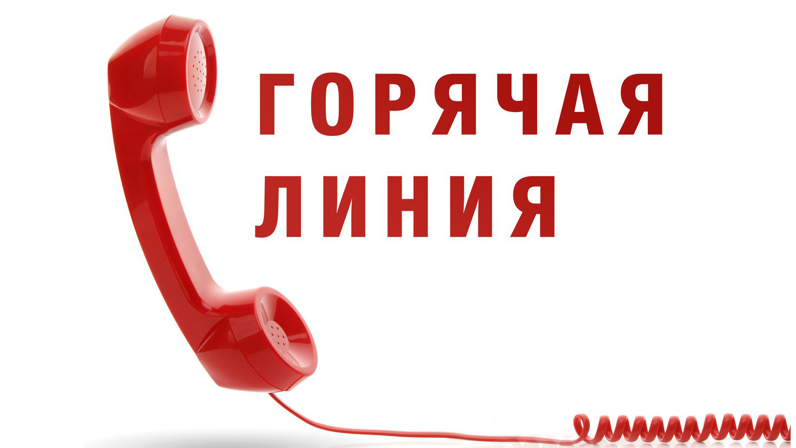 В Дагестане заработала Горячая линия «Антиконтрафакт»