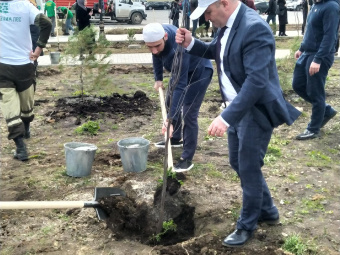 Акция «Сад памяти» в Дагестане