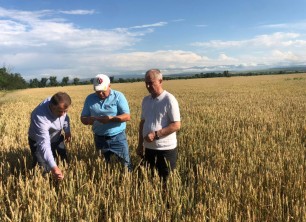 В Дагестане началась уборка зерновых культур