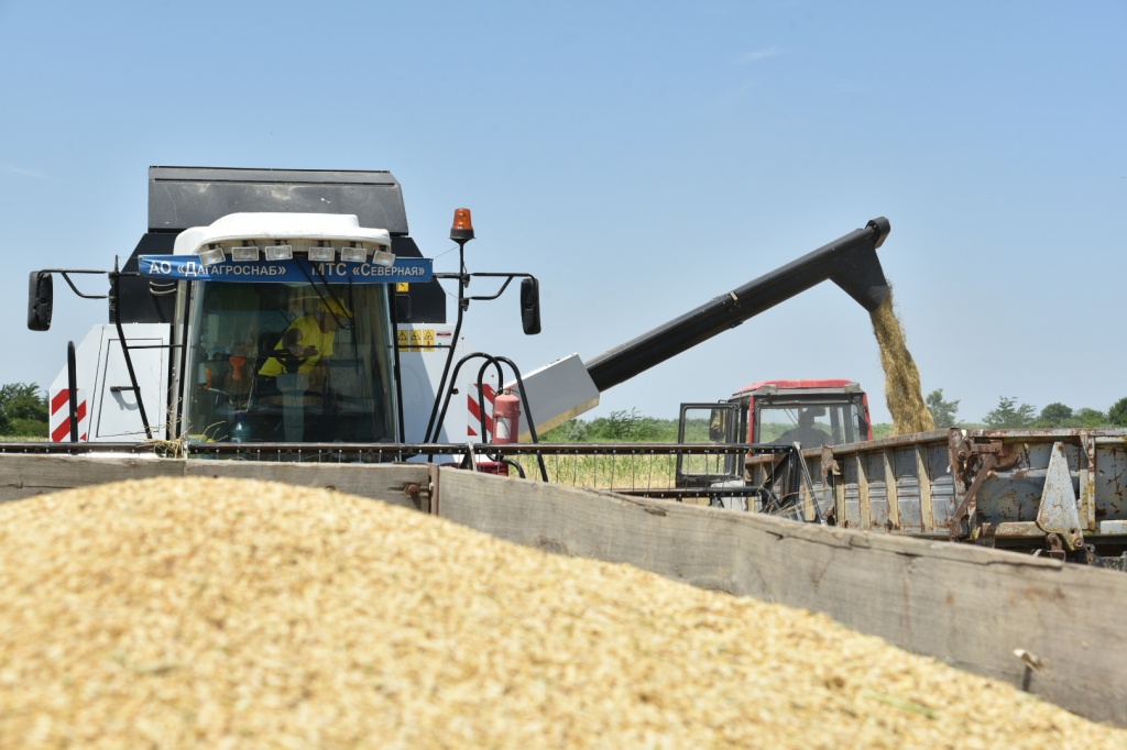 В Дагестане в 2020 году произведено сельхозпродукции на сумму более 129 млрд рублей