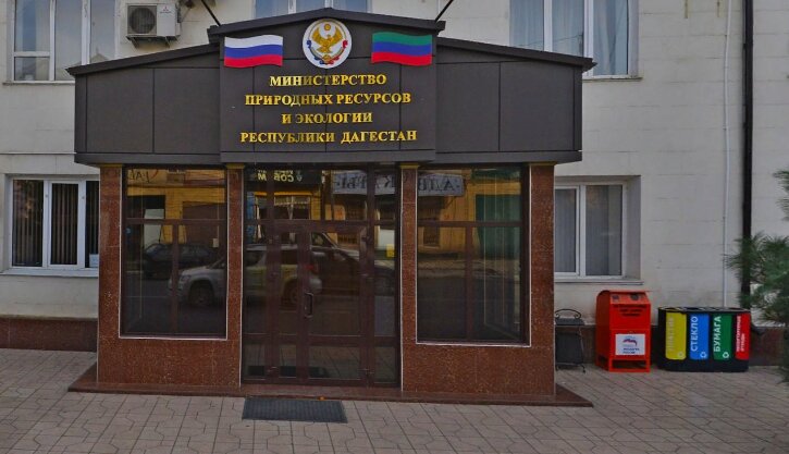 Минприроды Дагестана разъяснило, почему погибают каспийские тюлени