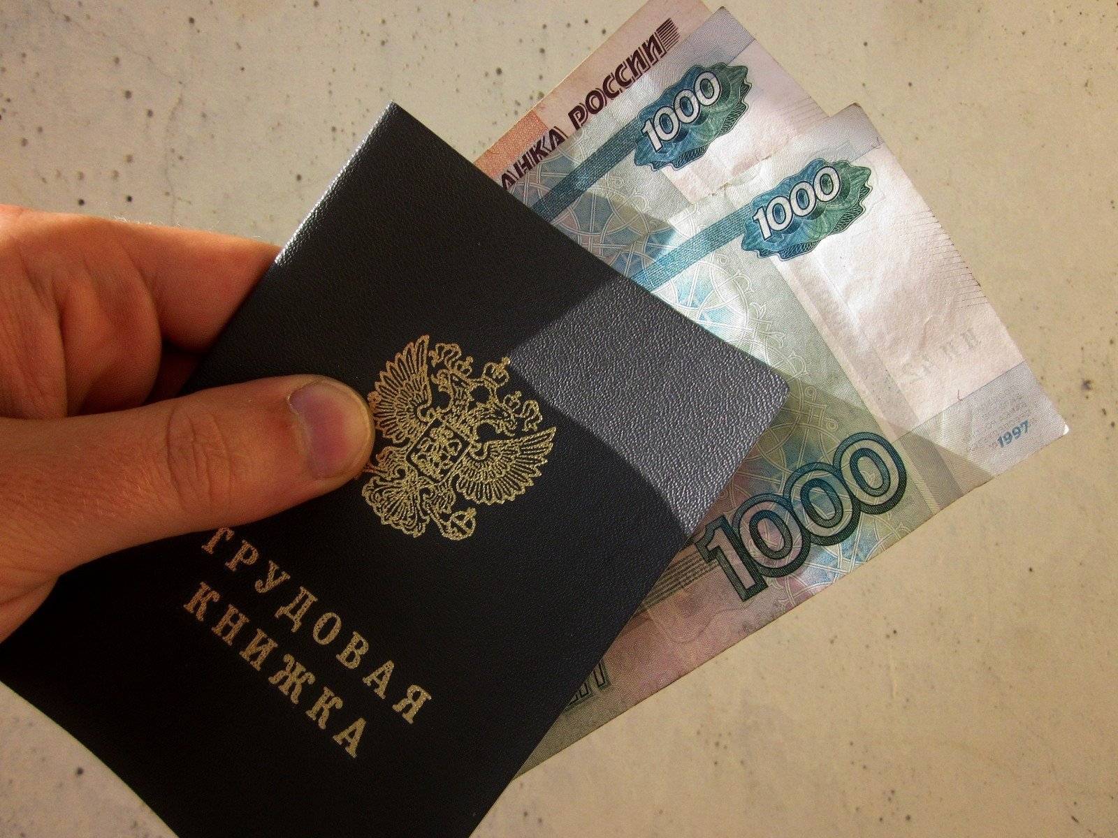 Более 47 млрд рублей выделили на поддержку временно неработающих граждан