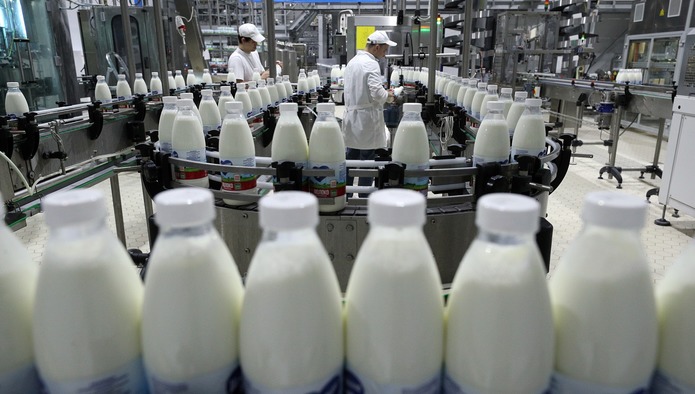 Объемы производства зерна и молока выросли в Дагестане Диана Муталибова