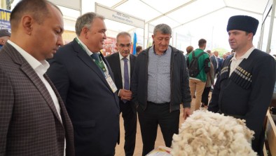 Дагестанские животноводы - лучшие на Всероссийской выставке овец и коз