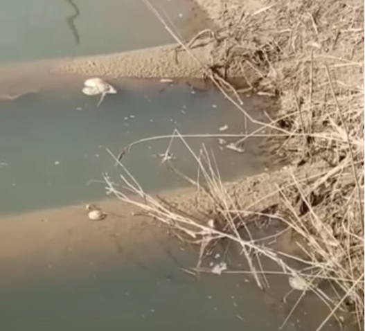 Прокуратурой РД организована проверка из-за отключения водоснабжения в Избербаше