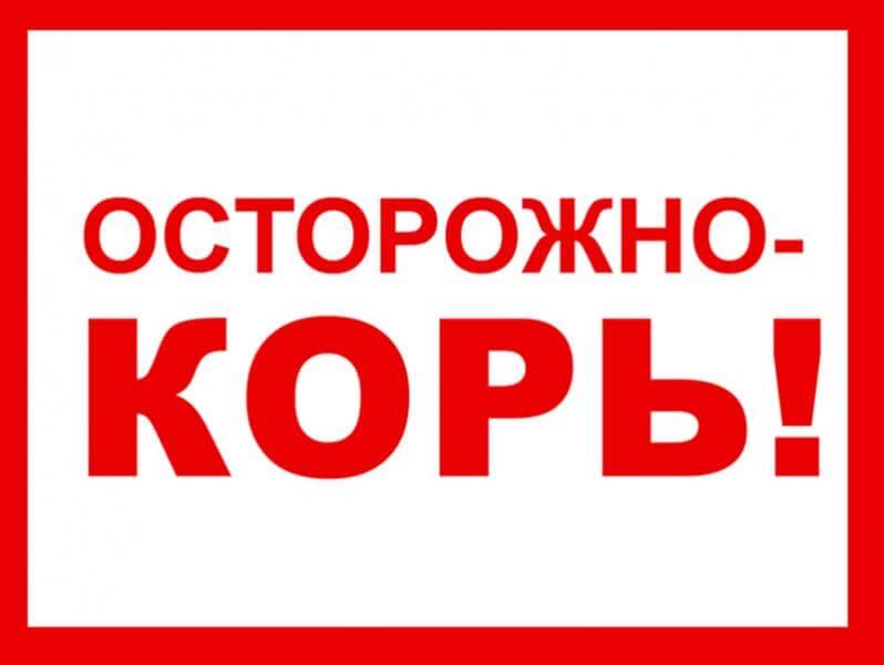 В Дагестане растет число заболевших корью