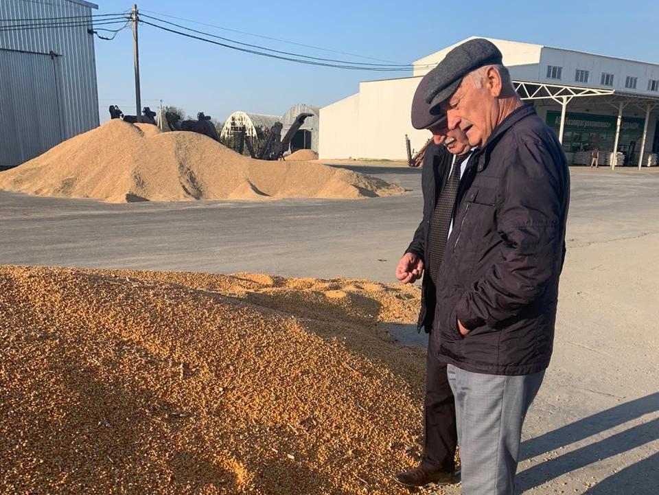 АО "Кизлярагрокомплекс" приобрел статус семеноводческого хозяйства в Дагестане