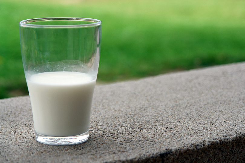 Аграрии Дагестана получат субсидии для прироста объемов молока Диана Муталибова