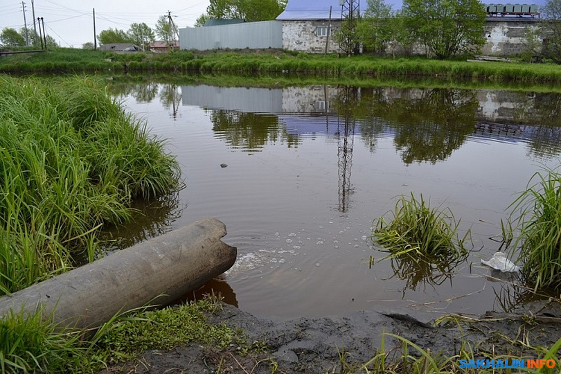 Проект загрязнение берегов городских водоемов